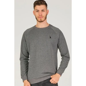 V4003 DEWBERRY REGLAN ARM MEN'S SWEATSHIRT-ANTHRACIC