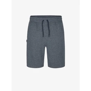 Mens Shorts LOAP ECYKL Dark blue