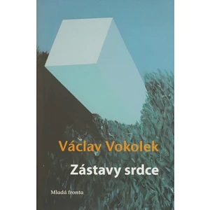 Zástavy srdce - Vokolek Václav