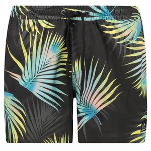 Men's swim shorts Quiksilver OCEAN MIX 15"