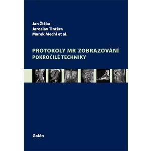 Protokoly v MR zobrazování -- Pokročilé techniky