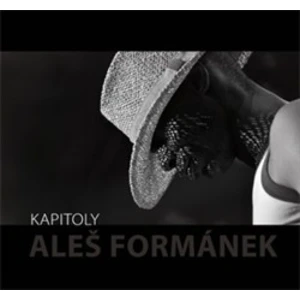 Kapitoly - Formánek Aleš