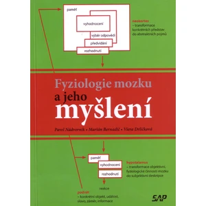 Fyziologie mozku a jeho myšlení