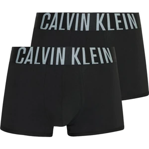 2PACK Calvin Klein men's boxers black (NB2602A-UB1)