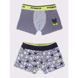 Yoclub Kids's 2Pack Boy's Boxer Briefs BMB-0018C-AA30