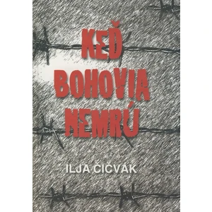 Keď bohovia nemrú - Ilja Čičvák