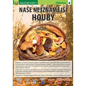 Naše nejznámější houby - Naučné karty