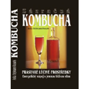 Zázračná kombucha - prastaré léčivé prostředky - Anita Hessmannová-Kosarisá