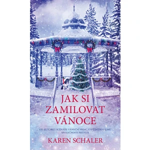 Jak si zamilovat Vánoce - Karen Schaler