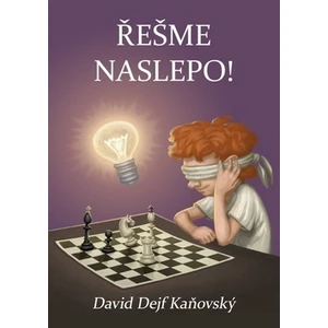 Řešme naslepo - Kaňovský David