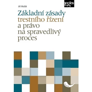 Základní zásady trestního řízení a právo na spravedlivý proces - Jiří Mulák