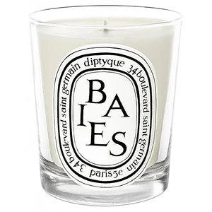 Diptyque Baies vonná svíčka 190 g