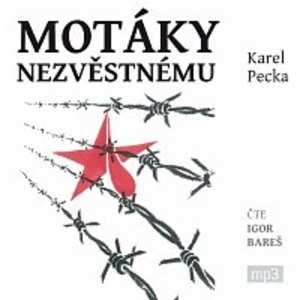 Motáky nezvěstnému - Karel Pecka - audiokniha