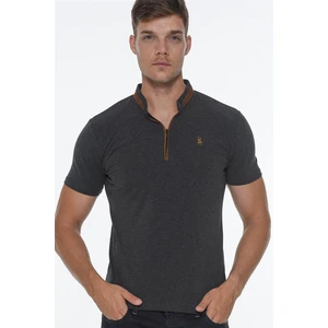 Polo da uomo  dewberry 6527