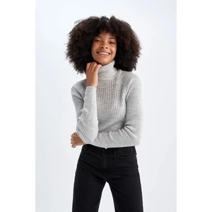 DEFACTO Slim Fit Turtleneck Pullover