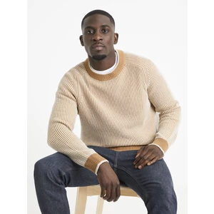 Celio Sweater Veribs - Men's