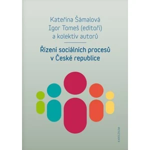 Řízení sociálních procesů v České republice - Igor Tomeš, Kateřina Šámalová