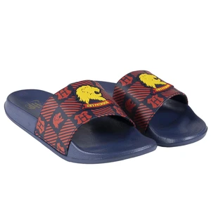 FLIP FLOPS POOL ADULT HARRY POTTER