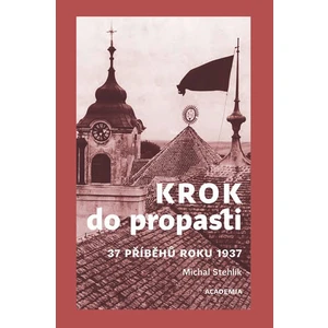 Krok do propasti - Michal Stehlík