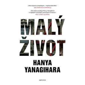 Malý život - Hanya Yanagihara