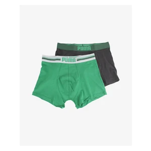 Puma Man's 2Pack Underpants 906519