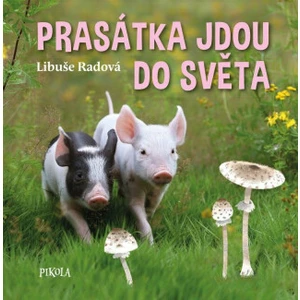 Prasátka jdou do světa - Libuše Radová