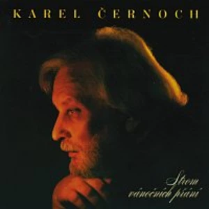 Strom vánočních přání / Reedice - Černoch Karel [CD album]