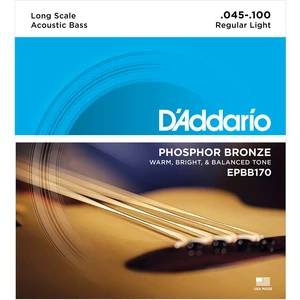 D'Addario EPBB 170