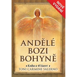 Andělé bozi bohyně - Toni Carmine Salerno