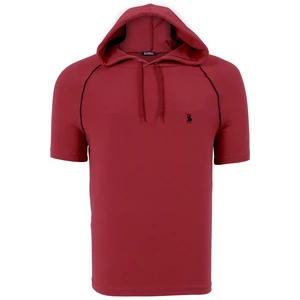 T8570 DEWBERRY HOODIE MEN'S T-SHIRT-PLAIN BURGUNDY