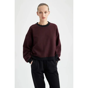 DEFACTO Regular Fit Sweatshirt