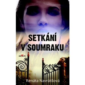 Setkání v soumraku - Navrátilová Renáta