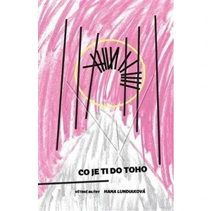 Co je ti do toho - Hana Lundiaková