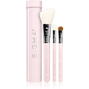 Sigma Beauty Essential Trio Brush Set sada štetcov s puzdrom III.