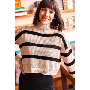 Olalook Women's Stone Striped Half Turtleneck Crop Knitwear Sweater