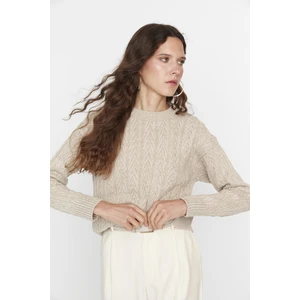 Trendyol Sweater - Beige - Regular fit