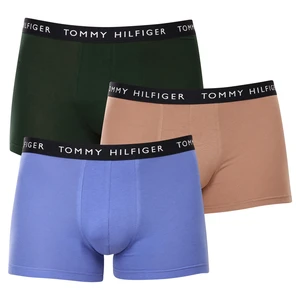 3PACK pánské boxerky Tommy Hilfiger vícebarevné (UM0UM02203 0V1)