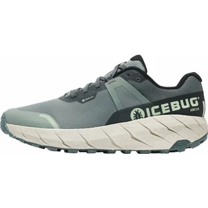 Icebug Arcus Womens RB9X GTX Green/Stone 39