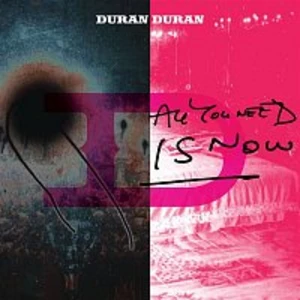 Duran Duran - All You Need Is Now (2 LP)