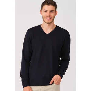 V0002 DEWBERRY MEN'S V-NECK SWEATER-LACİVERT