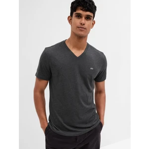 GAP V-neck T-shirt - Men's