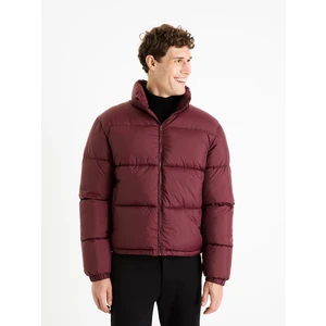 Celio Winter Jacket Fuparigi - Men