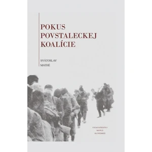 Pokus povstaleckej koalície - Svätoslav Mathé