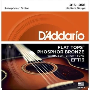 D'Addario EFT13