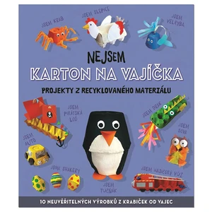 Nejsem karton na vajíčka -- Projekty z recyklovaného materiálu