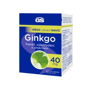 GS Ginkgo 40 mg, 90+30 tablet