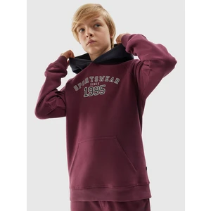 Boys' cotton sweatshirt