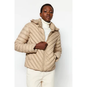 Trendyol Beige Fitted Inflatable Jacket With A Hood