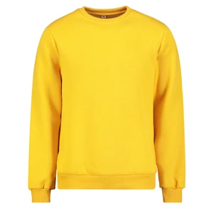 Men's sweatshirt by Aliatic