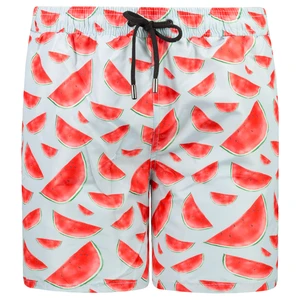 Trendyol Multicolored Men's Printed Swimwear